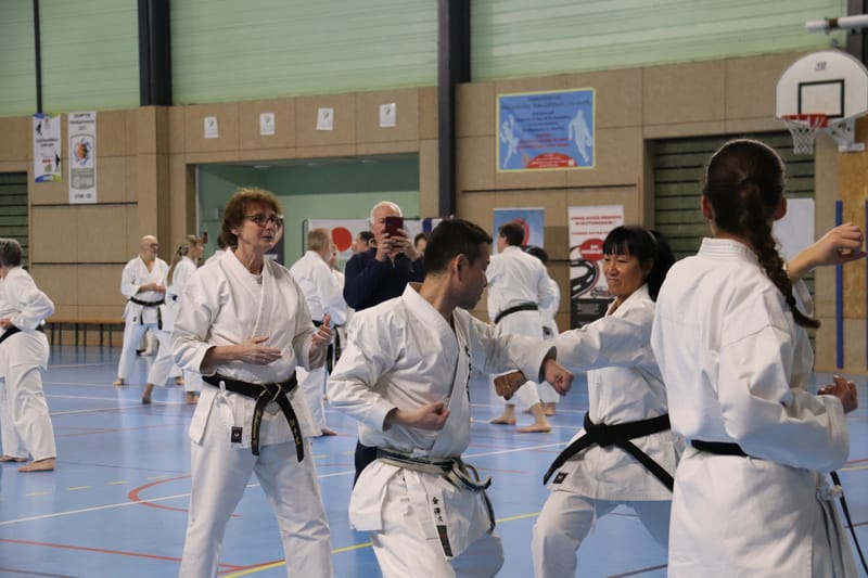 Stage Fumitoshi KANAZAWA le 13/02/2026 à la Ferté Saint Aubin