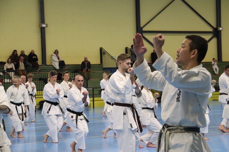 Stage Fumitoshi KANAZAWA le 13/02/2026 à la Ferté Saint Aubin