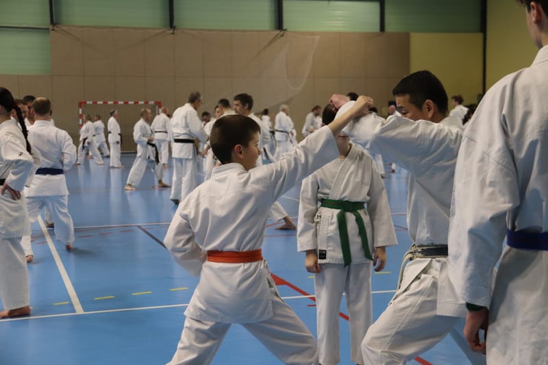 Stage Fumitoshi KANAZAWA le 13/02/2026 à la Ferté Saint Aubin