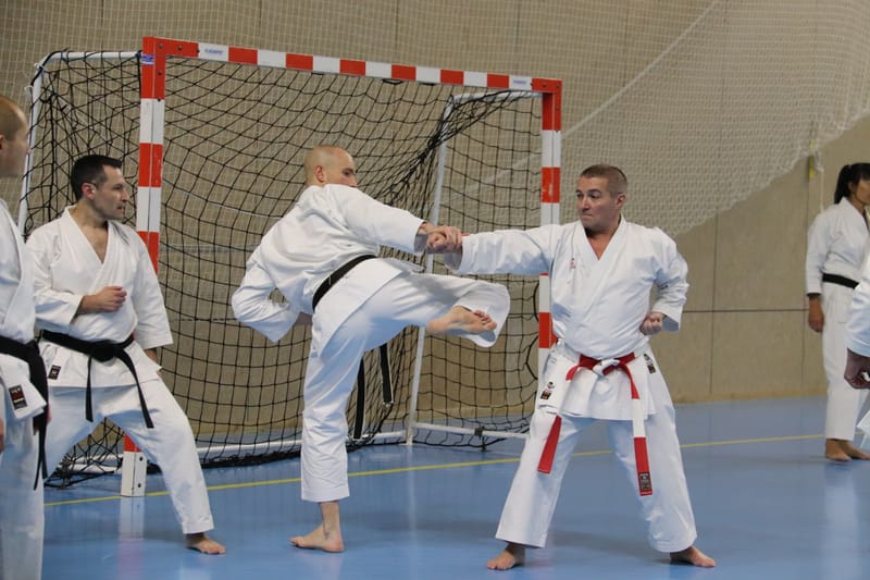 Stage Fumitoshi KANAZAWA le 13/02/2026 à la Ferté Saint Aubin