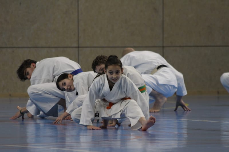 Stage Fumitoshi KANAZAWA le 13/02/2026 à la Ferté Saint Aubin