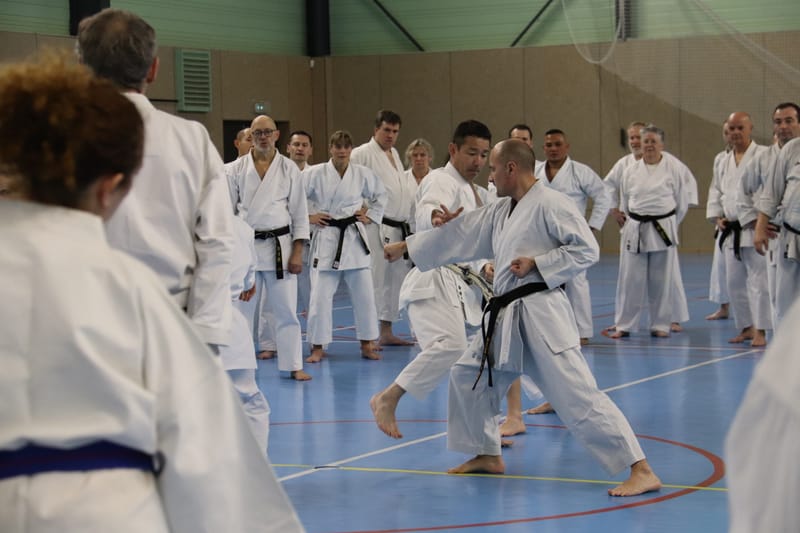 Stage Fumitoshi KANAZAWA le 13/02/2026 à la Ferté Saint Aubin