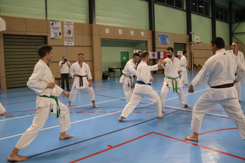 Stage Fumitoshi KANAZAWA le 13/02/2026 à la Ferté Saint Aubin