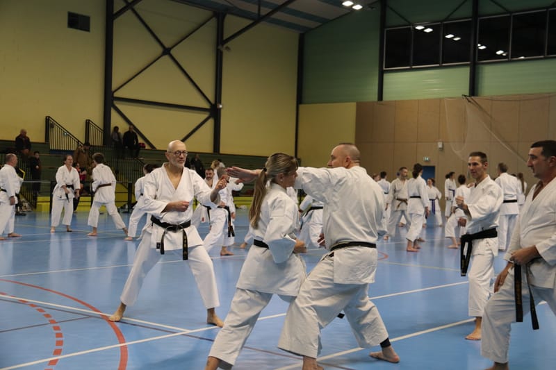 Stage Fumitoshi KANAZAWA le 13/02/2026 à la Ferté Saint Aubin