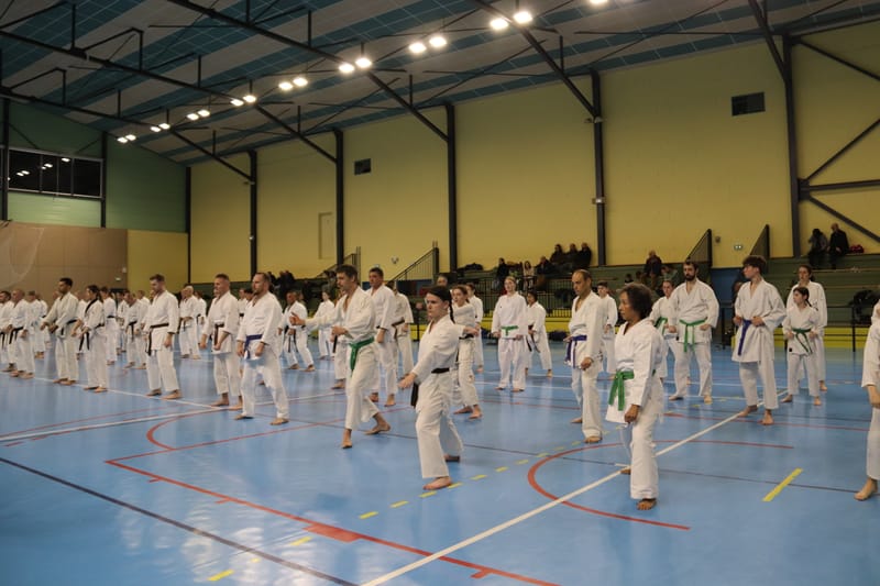 Stage Fumitoshi KANAZAWA le 13/02/2026 à la Ferté Saint Aubin