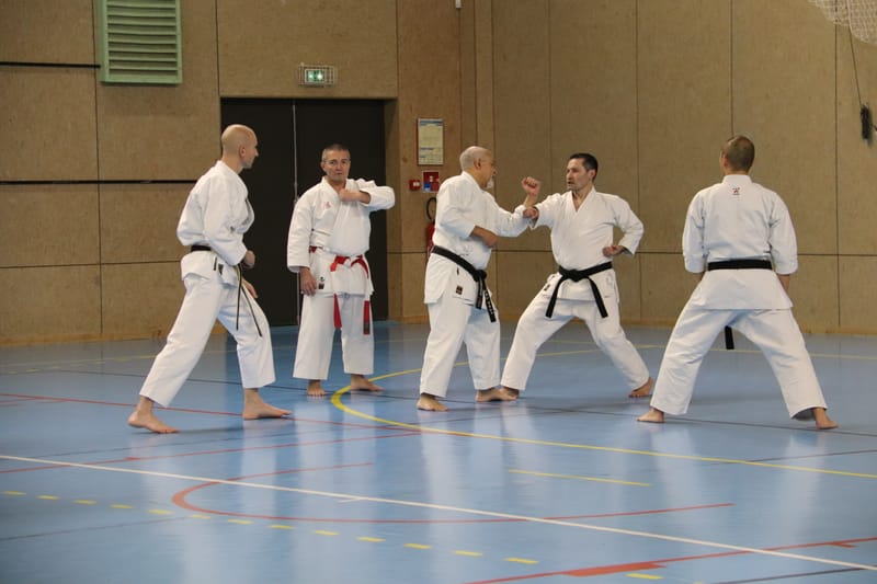 Stage Fumitoshi KANAZAWA le 13/02/2026 à la Ferté Saint Aubin