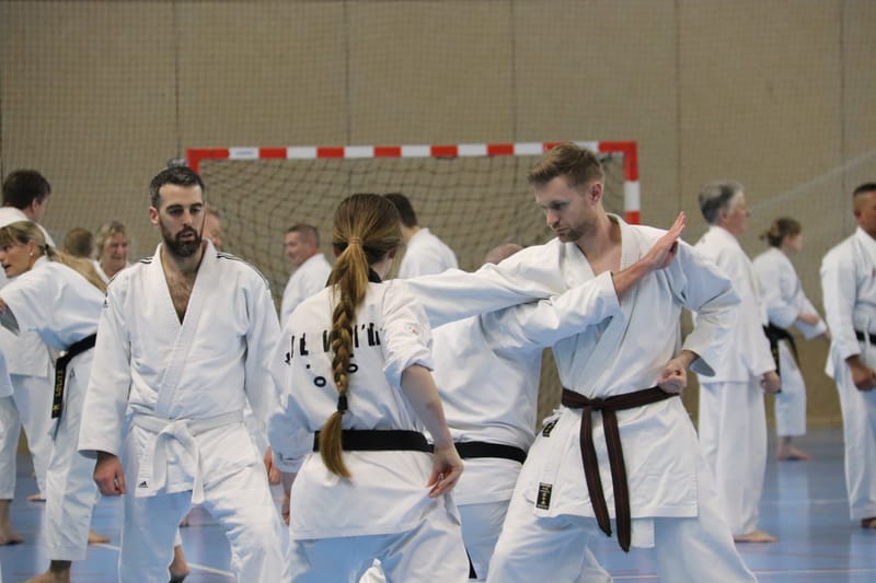 Stage Fumitoshi KANAZAWA le 13/02/2026 à la Ferté Saint Aubin