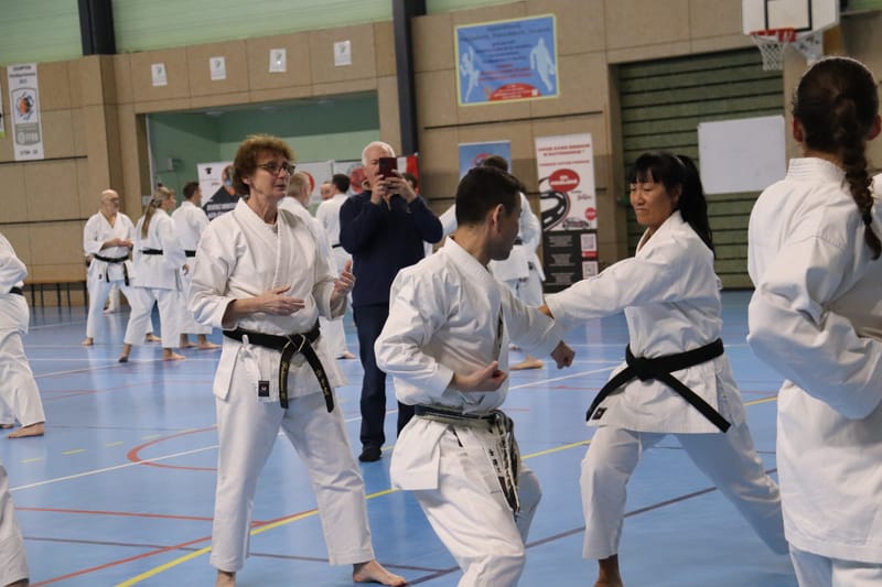 Stage Fumitoshi KANAZAWA le 13/02/2026 à la Ferté Saint Aubin