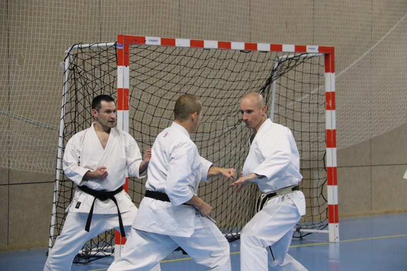 Stage Fumitoshi KANAZAWA le 13/02/2026 à la Ferté Saint Aubin