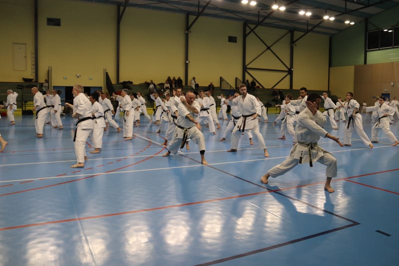 Stage Fumitoshi KANAZAWA le 13/02/2026 à la Ferté Saint Aubin