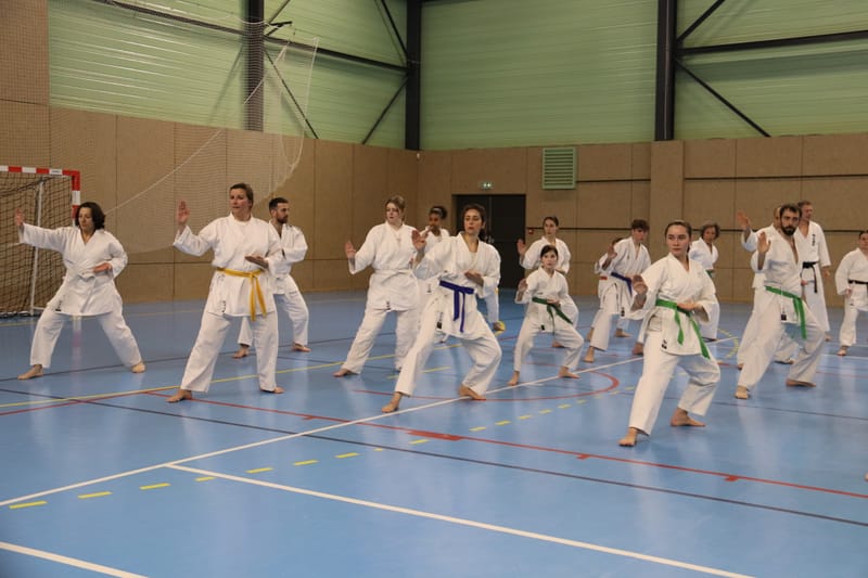 Stage Fumitoshi KANAZAWA le 13/02/2026 à la Ferté Saint Aubin