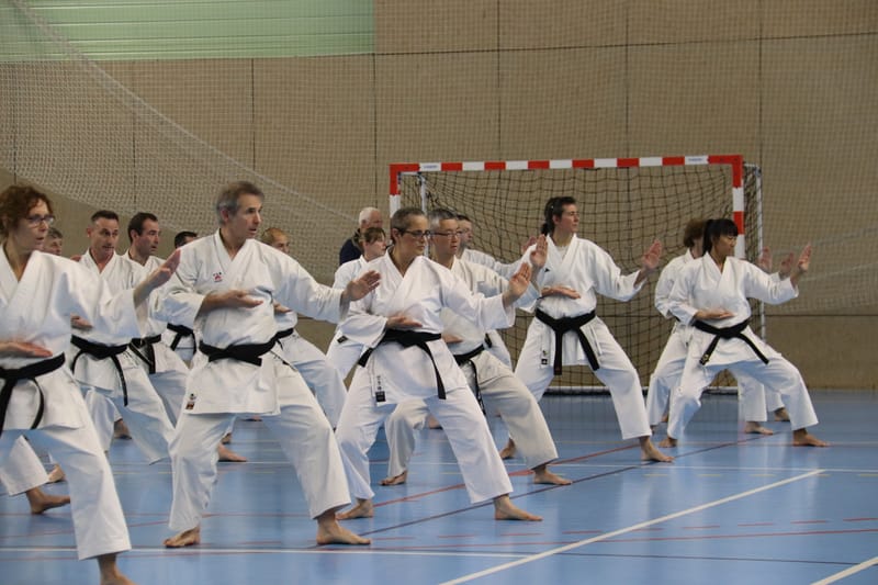 Stage Fumitoshi KANAZAWA le 13/02/2026 à la Ferté Saint Aubin