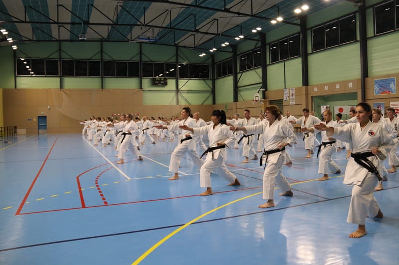 Stage Fumitoshi KANAZAWA le 13/02/2026 à la Ferté Saint Aubin