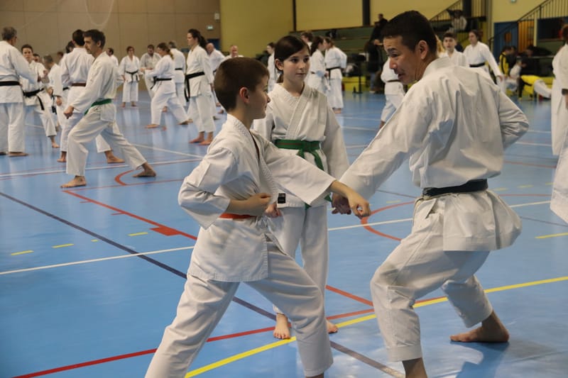 Stage Fumitoshi KANAZAWA le 13/02/2026 à la Ferté Saint Aubin