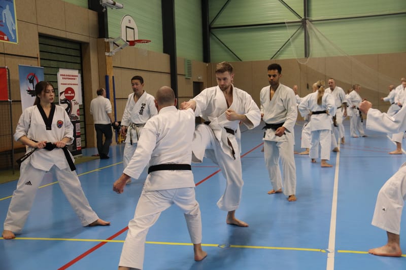 Stage Fumitoshi KANAZAWA le 13/02/2026 à la Ferté Saint Aubin