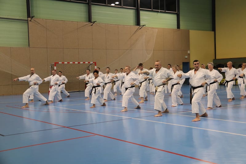 Stage Fumitoshi KANAZAWA le 13/02/2026 à la Ferté Saint Aubin