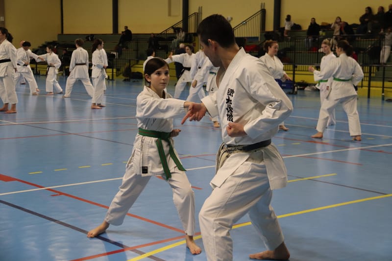 Stage Fumitoshi KANAZAWA le 13/02/2026 à la Ferté Saint Aubin