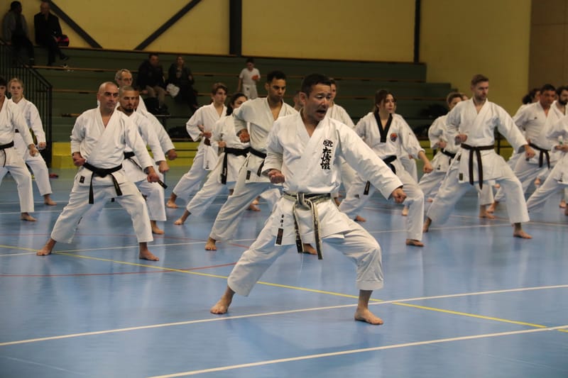 Stage Fumitoshi KANAZAWA le 13/02/2026 à la Ferté Saint Aubin