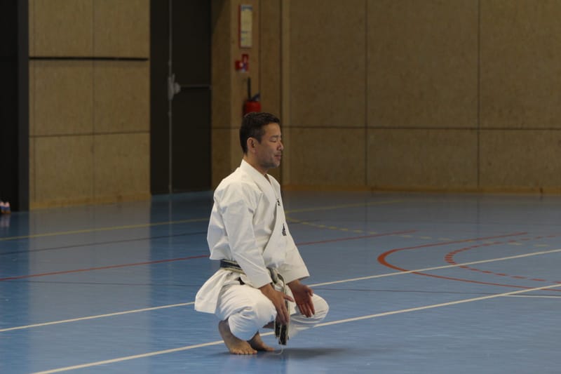 Stage Fumitoshi KANAZAWA le 13/02/2026 à la Ferté Saint Aubin