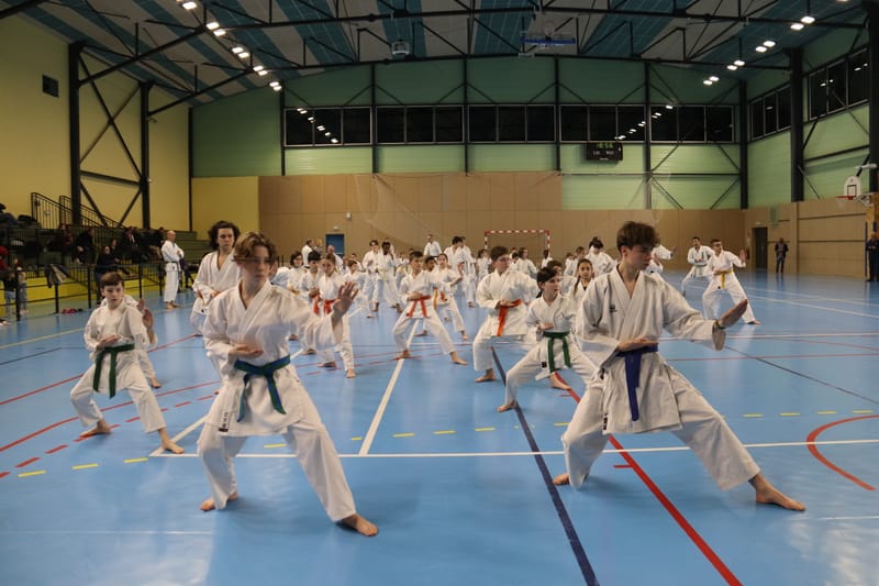 Stage Fumitoshi KANAZAWA le 13/02/2026 à la Ferté Saint Aubin