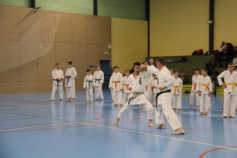 Stage Fumitoshi KANAZAWA le 13/02/2026 à la Ferté Saint Aubin