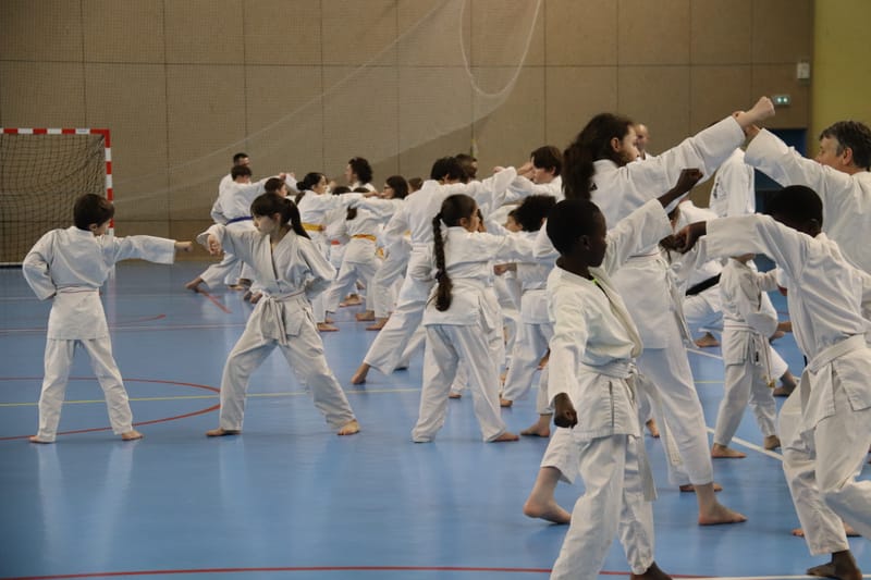 Stage Fumitoshi KANAZAWA le 13/02/2026 à la Ferté Saint Aubin