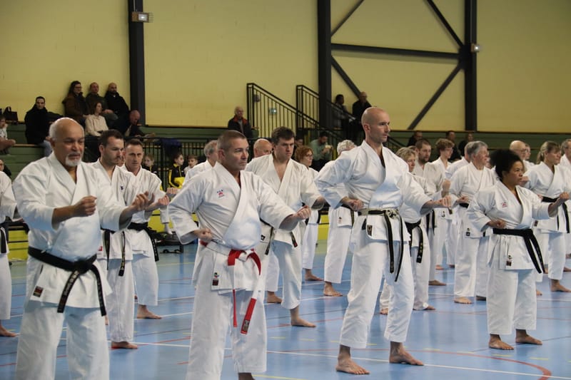 Stage Fumitoshi KANAZAWA le 13/02/2026 à la Ferté Saint Aubin