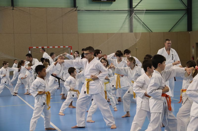 Stage Fumitoshi KANAZAWA le 13/02/2026 à la Ferté Saint Aubin