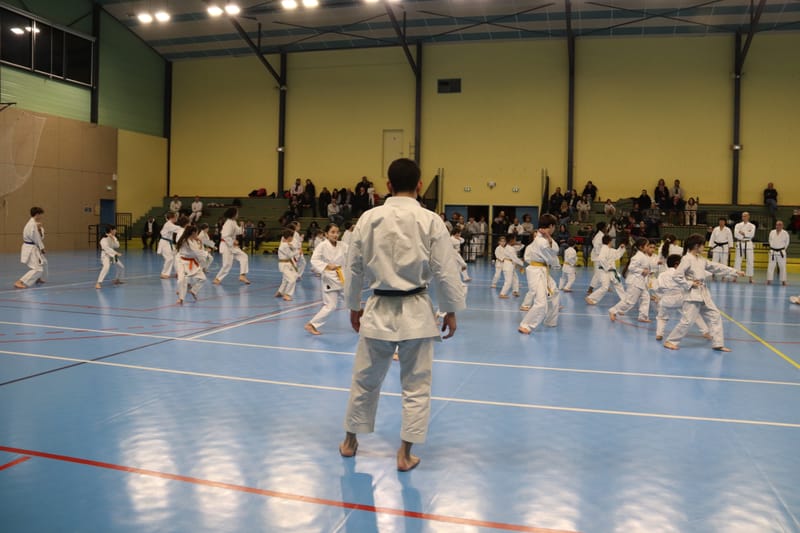 Stage Fumitoshi KANAZAWA le 13/02/2026 à la Ferté Saint Aubin