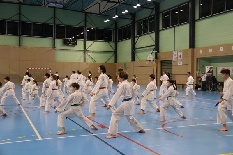 Stage Fumitoshi KANAZAWA le 13/02/2026 à la Ferté Saint Aubin