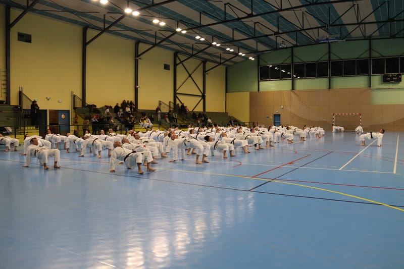 Stage Fumitoshi KANAZAWA le 13/02/2026 à la Ferté Saint Aubin