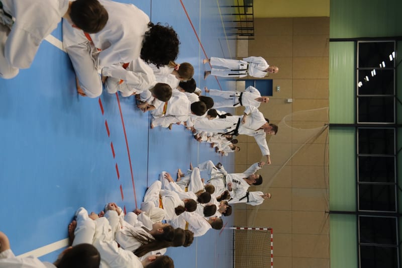 Stage Fumitoshi KANAZAWA le 13/02/2026 à la Ferté Saint Aubin