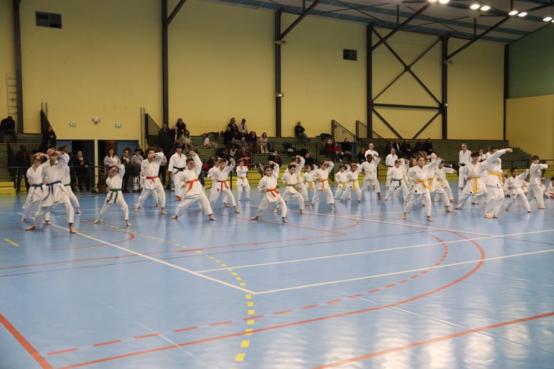 Stage Fumitoshi KANAZAWA le 13/02/2026 à la Ferté Saint Aubin