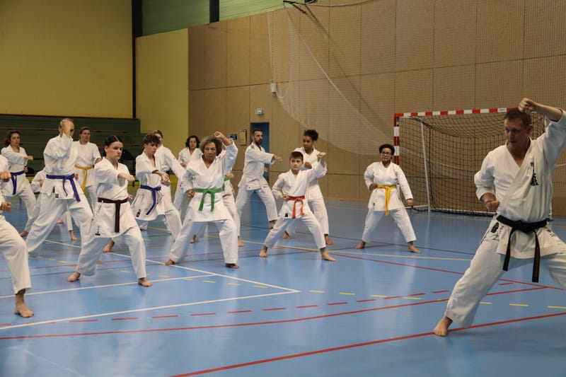 Stage Fumitoshi KANAZAWA le 13/02/2026 à la Ferté Saint Aubin