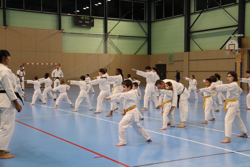 Stage Fumitoshi KANAZAWA le 13/02/2026 à la Ferté Saint Aubin