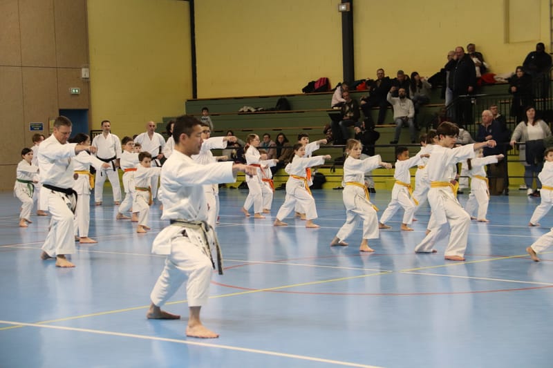 Stage Fumitoshi KANAZAWA le 13/02/2026 à la Ferté Saint Aubin