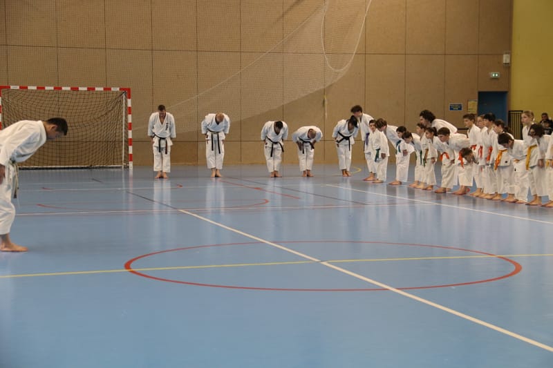 Stage Fumitoshi KANAZAWA le 13/02/2026 à la Ferté Saint Aubin