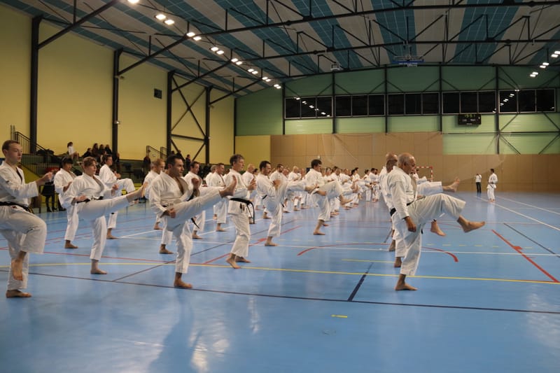 Stage Fumitoshi KANAZAWA le 13/02/2026 à la Ferté Saint Aubin