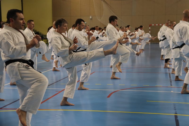 Stage Fumitoshi KANAZAWA le 13/02/2026 à la Ferté Saint Aubin