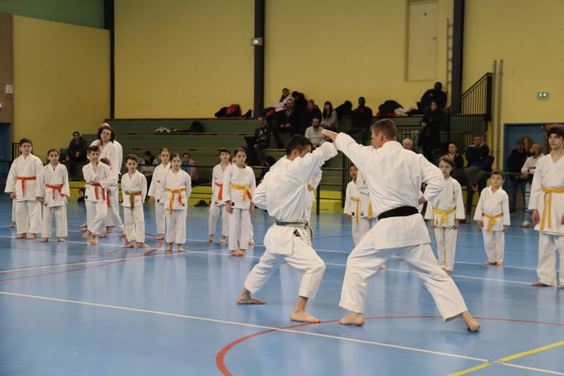 Stage Fumitoshi KANAZAWA le 13/02/2026 à la Ferté Saint Aubin