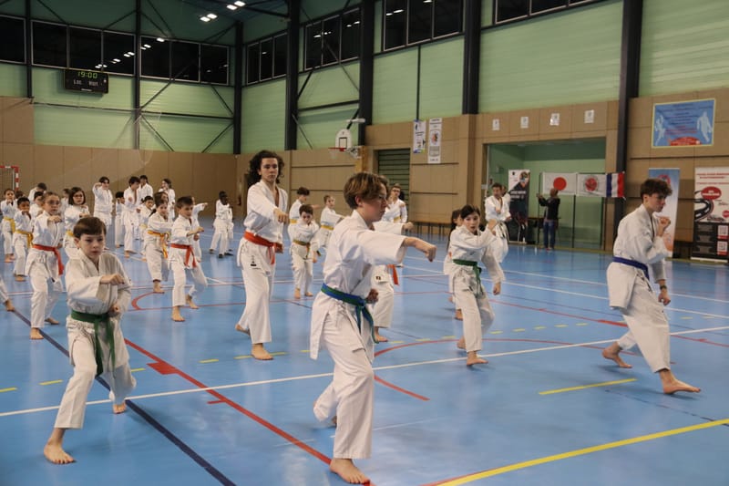 Stage Fumitoshi KANAZAWA le 13/02/2026 à la Ferté Saint Aubin