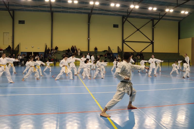 Stage Fumitoshi KANAZAWA le 13/02/2026 à la Ferté Saint Aubin