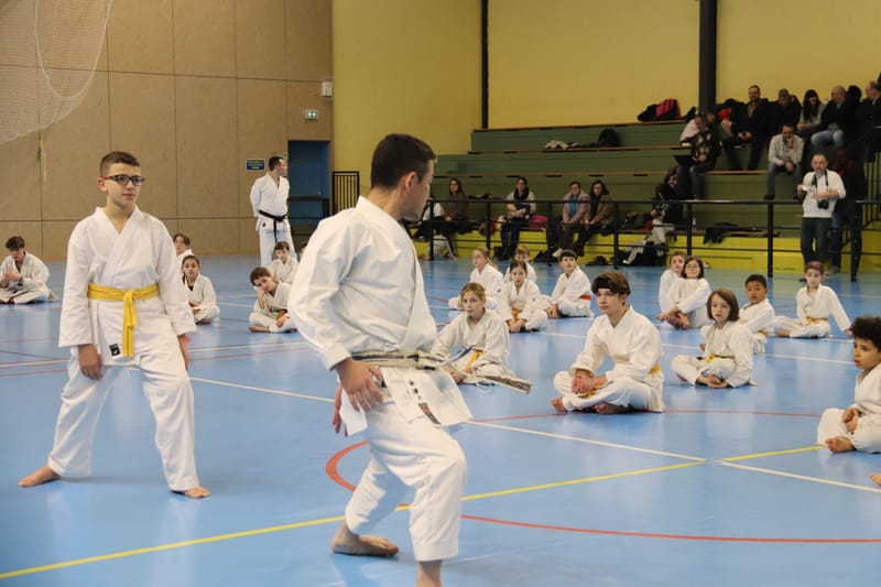 Stage Fumitoshi KANAZAWA le 13/02/2026 à la Ferté Saint Aubin