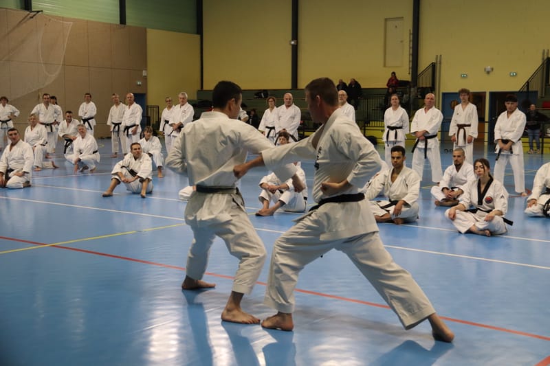 Stage Fumitoshi KANAZAWA le 13/02/2026 à la Ferté Saint Aubin