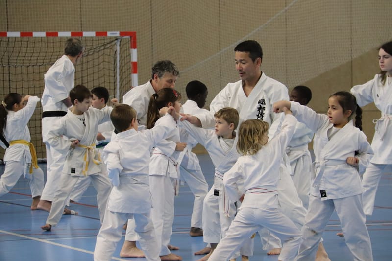 Stage Fumitoshi KANAZAWA le 13/02/2026 à la Ferté Saint Aubin