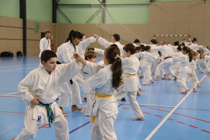 Stage Fumitoshi KANAZAWA le 13/02/2026 à la Ferté Saint Aubin