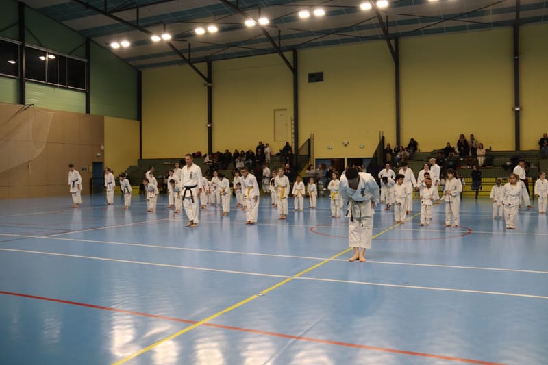 Stage Fumitoshi KANAZAWA le 13/02/2026 à la Ferté Saint Aubin