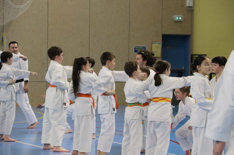 Stage Fumitoshi KANAZAWA le 13/02/2026 à la Ferté Saint Aubin