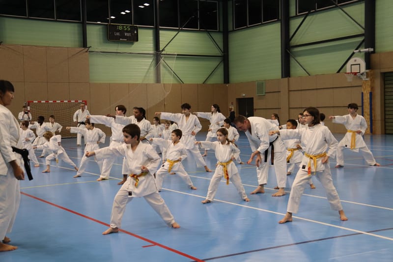 Stage Fumitoshi KANAZAWA le 13/02/2026 à la Ferté Saint Aubin