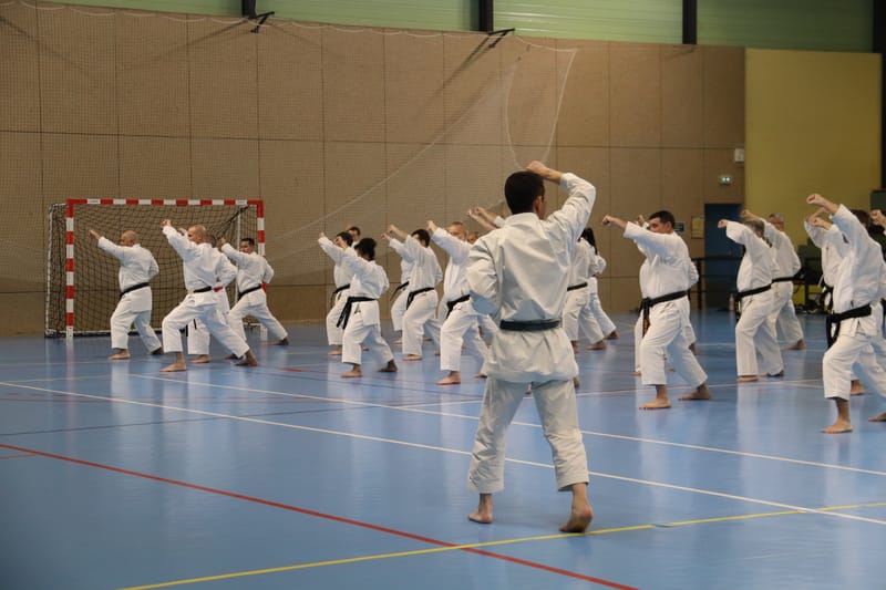 Stage Fumitoshi KANAZAWA le 13/02/2026 à la Ferté Saint Aubin